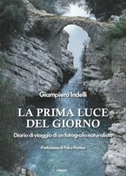 Prima luce del giorno COVER-PROCESSATO_1-