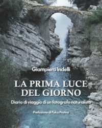 Prima luce del giorno COVER-PROCESSATO_1-