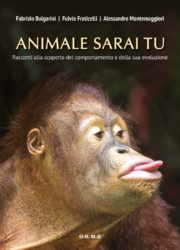 Animale sarai tu