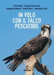 falco