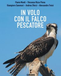 falco