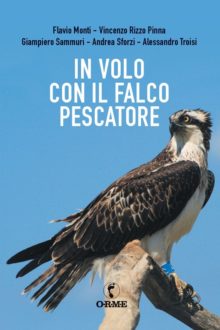 falco