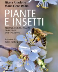 pianteeinsetti